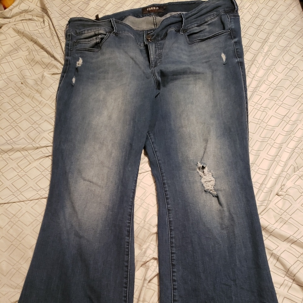 Torrid Jeans